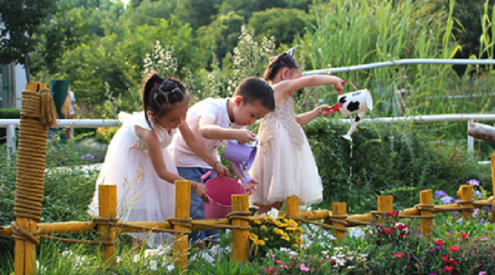 大自然是孩子們在幼兒園時(shí)光里最美好的相遇