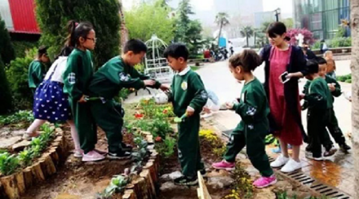 大自然是孩子們在幼兒園時(shí)光里最美好的相遇